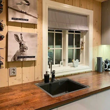 Holiday home Eksklusiv Bjerghytte Med Sauna, Jacuzzi Og Udsigt Nord Torpa